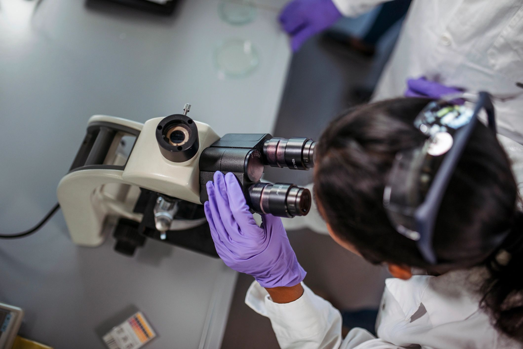 Student using a microscope in a laboratory