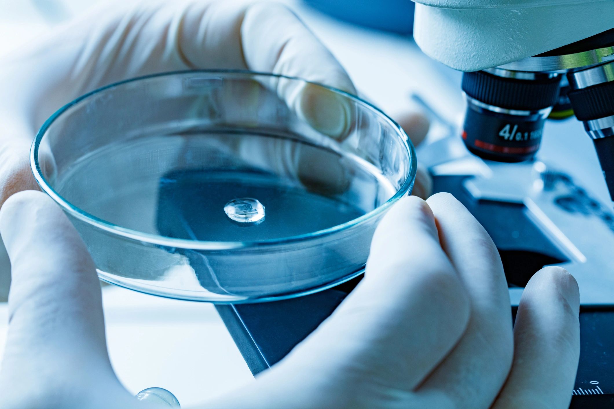 Close-up of a petri dish in a laboratory
